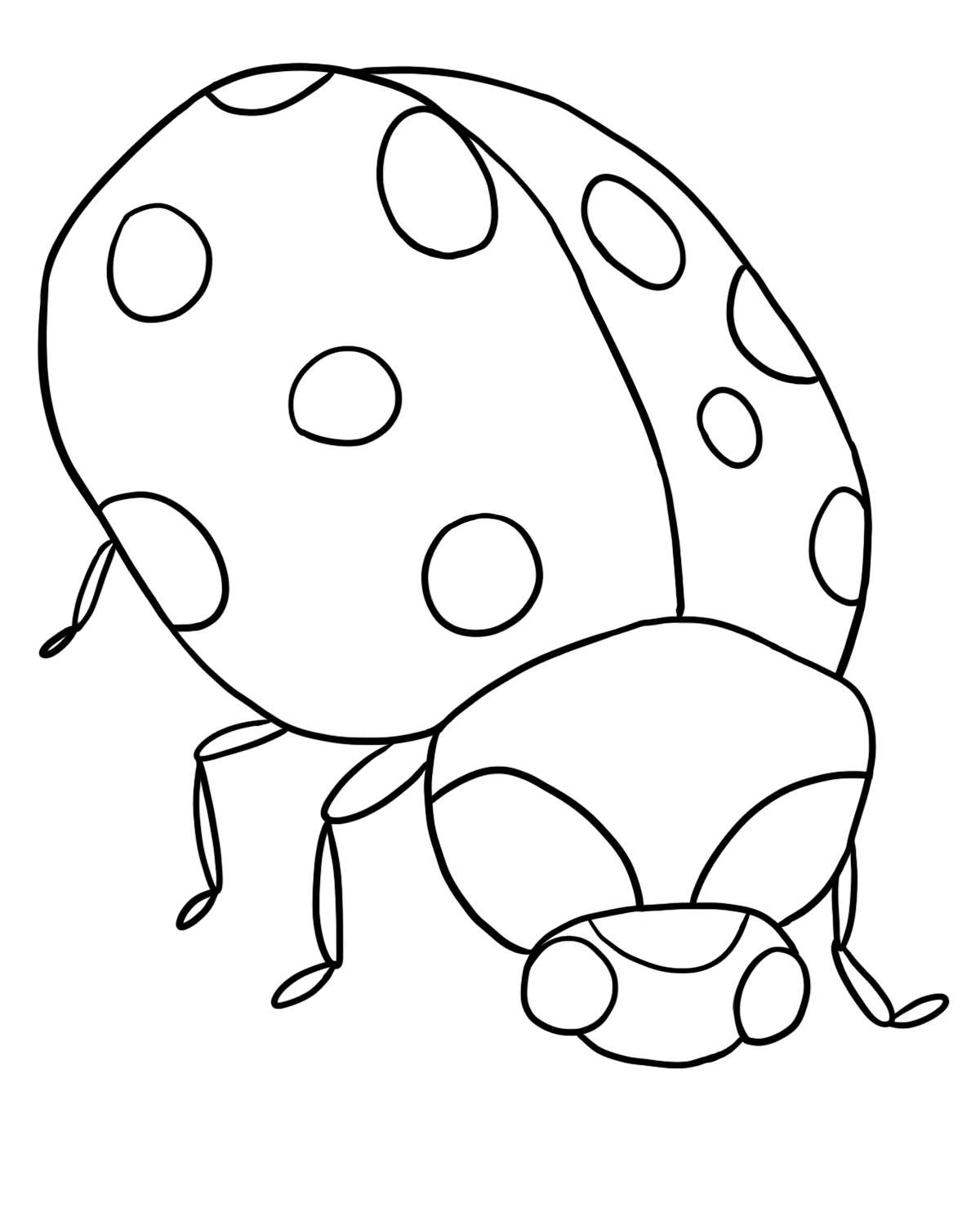 Biedronki kolorowanki
